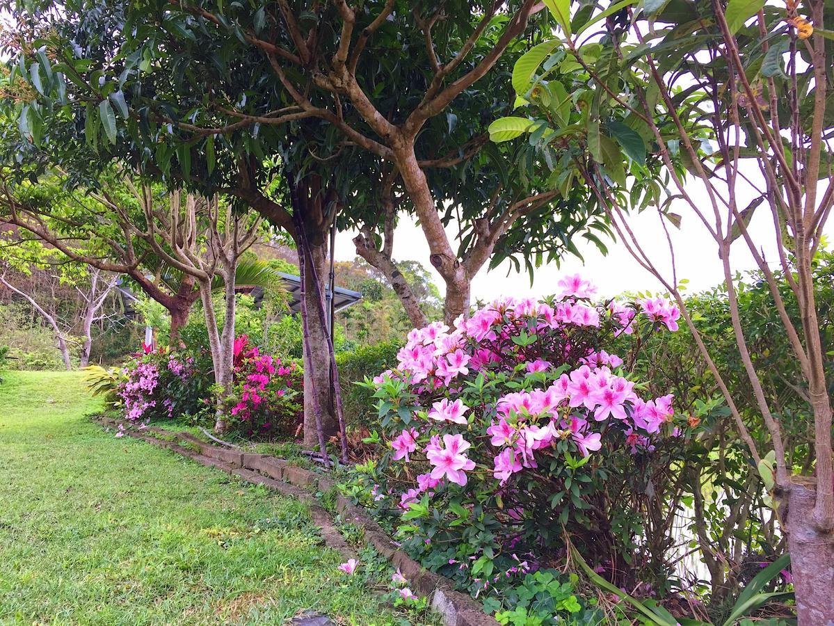 Jiu An Qing Jing Homestay Фули Екстериор снимка